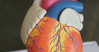 AI Assisted Triage for Clinical Decision Making in Hematology Oncology featured image