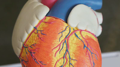 AI Assisted Triage for Clinical Decision Making in Hematology Oncology featured image